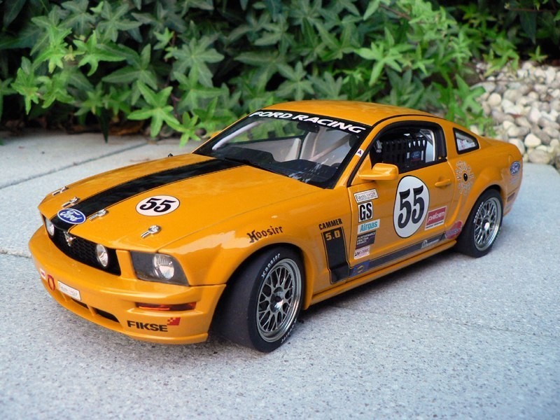 Ford Mustang FR500C фото