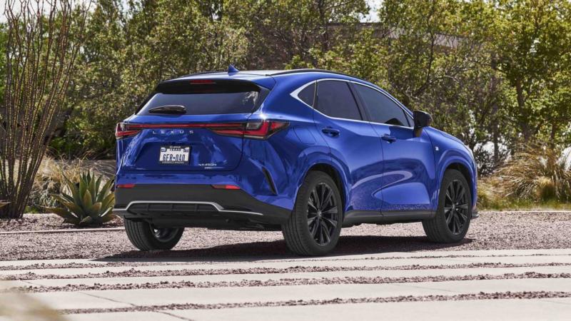 Lexus NX вид сзади