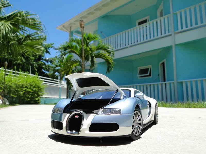 Bugatti Veyron фото авто